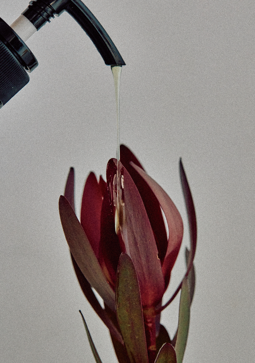 ［ Le Lien ］ル リアン No00 ルミナスシャンプー 300ml