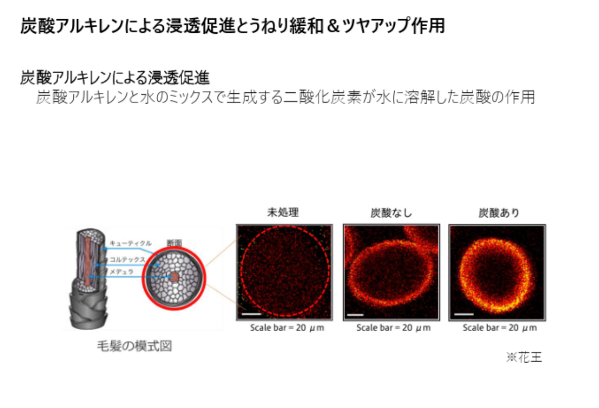 〈 LIMITED 〉LD LIMITED　エルディー リミテッド　200ml